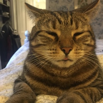 AlisonFairman's profile picture. Bloomer. Hanse follower. Freeman. loves her town