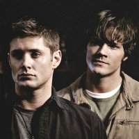 Vici (@xweird_fangirlx) 's Twitter Profile