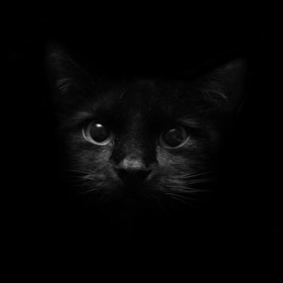 DarkK62801629's profile picture. เอาไว้ส่องครับ