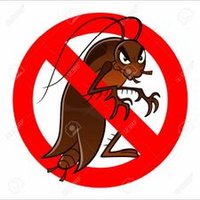 Josesaludos (@josesaludos2) 's Twitter Profile Photo Josesaludos (@josesaludos2) 's Twitter Profile Photo