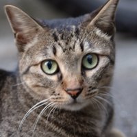 timtim (@tt_mm_tt_mm) Twitter profile photo