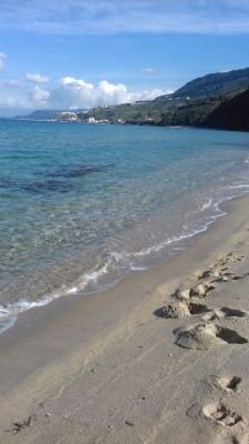 tinapugliese4's profile picture. Nata in Calabria,adottata da Firenze,mamma di due meravigliose creature,lavoro in CNA da una vita(Politiche Sociali).Io so che l'Amore dato non ritorna a posto.