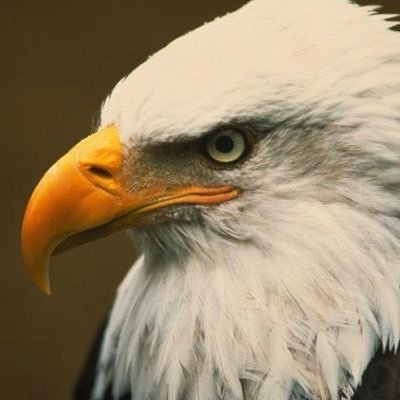Jefferson High School Offical Account for the students that love American. Go follow our Instagram page @JHSAMERICAN🇺🇸