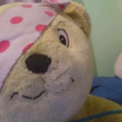 Self appointed king of the yellow charitable bears, but with strings. Because Clocktower things.