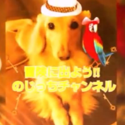 のじっちTVのプロフィール写真