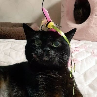 리노さんのプロフィール画像