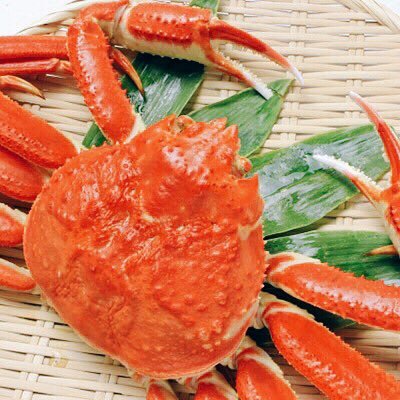 蟹好きによる蟹好きのための蟹食い総合サイト「蟹は祭だ！」公式アカウント🦀数多ある通販の中で【本当にうまいカニだけ】を厳選し全て自腹で実食レポート。推薦できない店は載せません。 #蟹 #カニ / 執筆者全員が実名顔出しで責任を持って執筆中 / 2020年も美味い蟹を食べまくります！