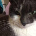 karla gallagher - @karlagallaghe19 - Twitter