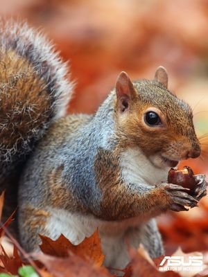 Leah56390185's profile picture. 