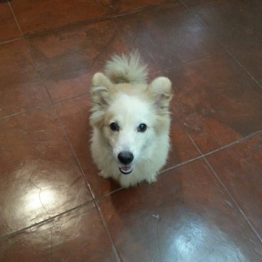 KrystelleSumayo's profile picture. 