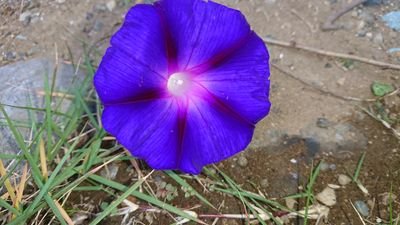 r0et43ckwdOmkxe's profile picture. 介護福祉士