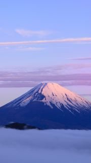 ketocured's profile picture. Reversed Type-2 Diabetes on Ketogenic Lifestyle. Off all medication.