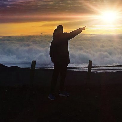 pleano's profile picture. A Paleo Loon