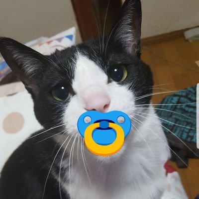 前のアカウントが消えてしまった😫
猫好き～スクラッチアート～映画~PS4