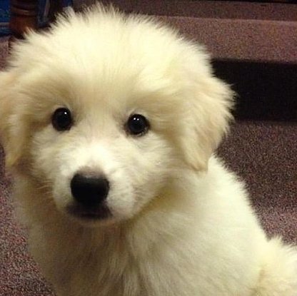 GeorgeC96505120's profile picture. 