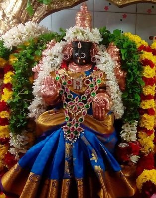 TRUEIND79826861's profile picture. 