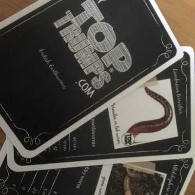 Championing the humble, yet magnificent........ Earthworm