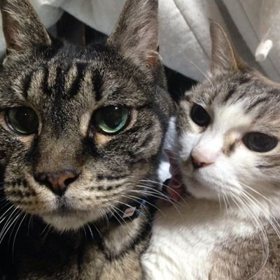 masakiishiezwe1's profile picture. プロレスリングノア、DDT、大阪プロレス、馬場さんの全日本プロレス、KENTA選手を応援しています‼️