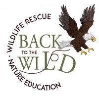 Back to the Wild (@backtothewildoh) 's Twitter Profile