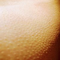 Откровенная доброта [18++] (@frankly6kidness) 's Twitter Profile