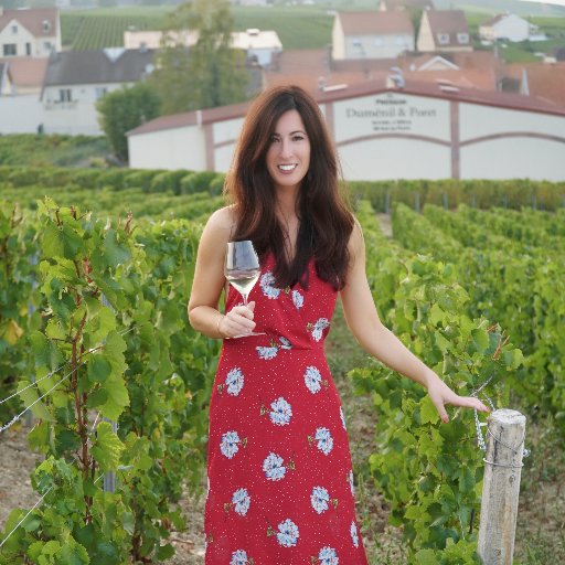 Wine Enthusiast and Blogger | follow me on Instagram @bigcabbiggerhair | PhD |📍Napa Valley