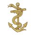 RoyalNavyMedicalServicesOfficers (@rn_msofficer) Twitter profile photo