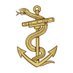 RoyalNavyMedicalServicesOfficers (@RN_MSOfficer) Twitter profile photo