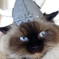 Mbahal (@mbahal1) 's Twitter Profile