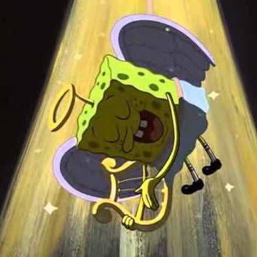 AmandaK10365402's profile picture. 