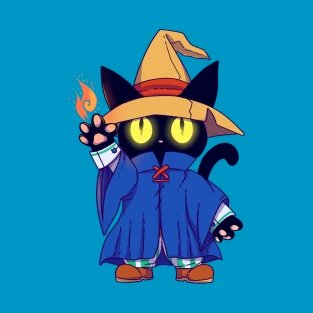 codewizardcat's profile picture. 
