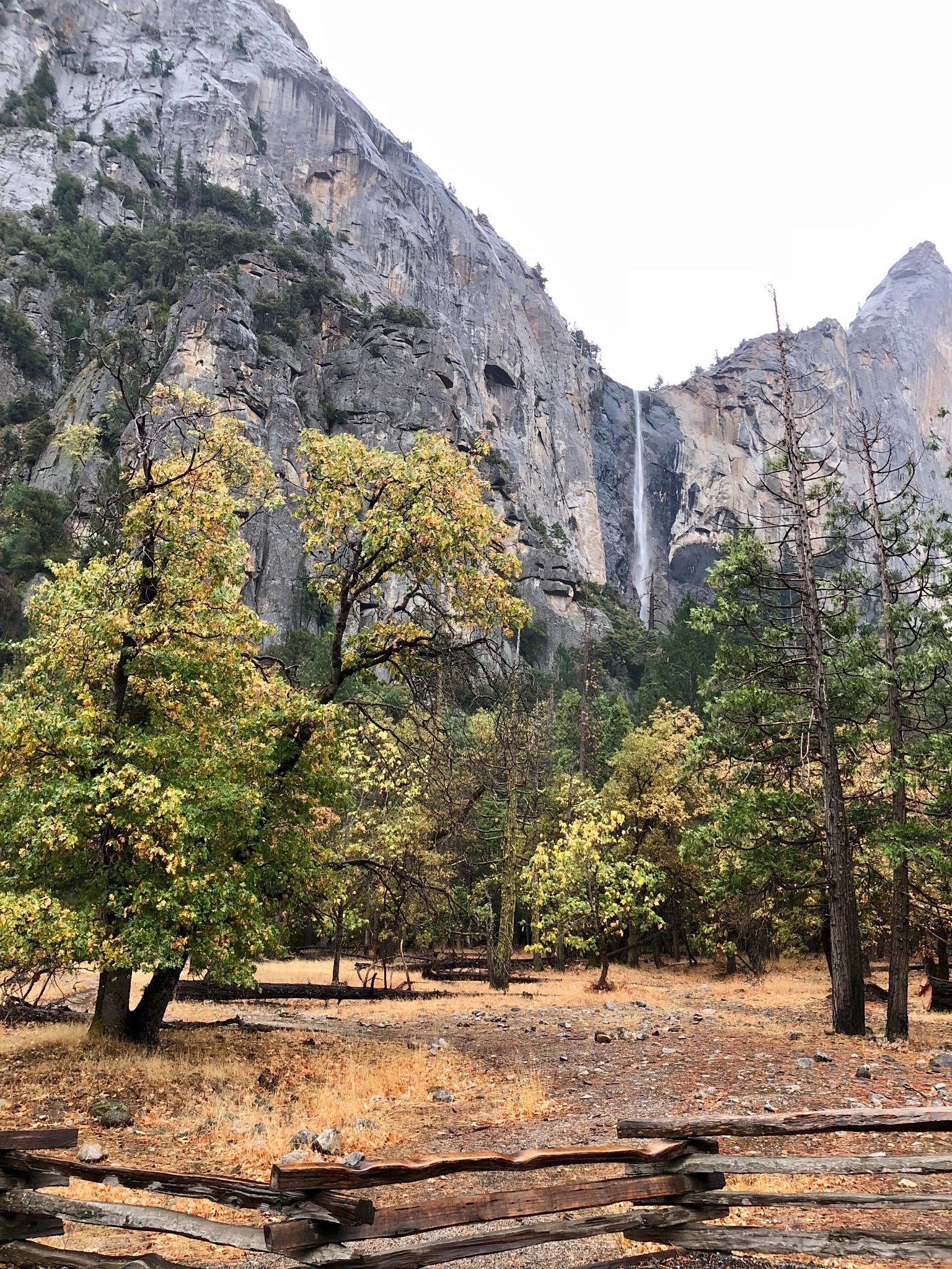 SConque's profile picture. 