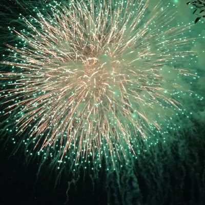 samechaop's profile picture. デレステ、 スクフェス、バンドリ、モンスト などのゲームやってまーす