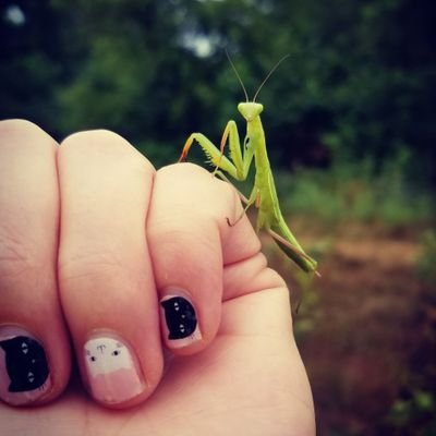 Bug nerd with a news habit. She/Her.