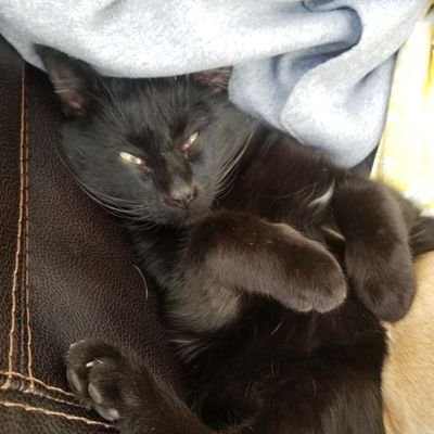 pieisgood84's profile picture. 