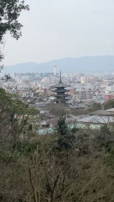 京都好きグルメ兄さん👍