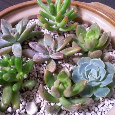 ginno1210's profile picture. ◆昭和の終わり頃生まれ30↑◆WJ系中心に多ジャンル雑食性◆CPでも±でも夢でも一旦口に入れてみる亀◆RT日常ツイ多め◆思考纏めるためのツリー連投癖あり◆基本的に夜明けのオタク◆たぶんISTPタイプ◆台湾独立応援