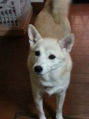 waniwani121's profile picture. 