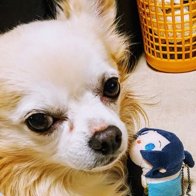カオリさんのプロフィール画像