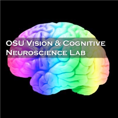 Vision & Cognitive Neuroscience Lab at the Ohio State University, PI: @juliedgolomb