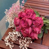 أمل الامه (@xmjw6sw4rfvyniu) 's Twitter Profile