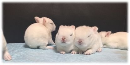 wo1BFeiH9feIW1a's profile picture. 成人済。美容、漫画が好きです☺️