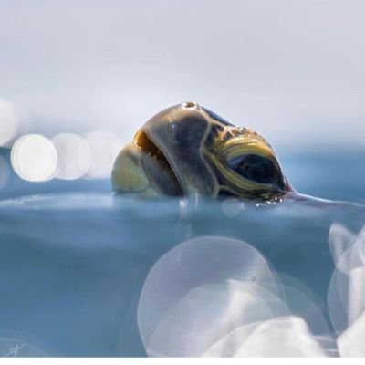 djv3nzs1YAwSZp7's profile picture. Protect everything that is beautiful📌