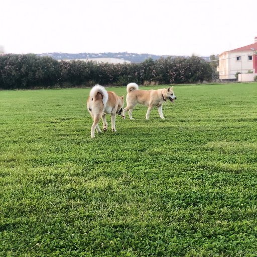 stath4000's profile picture. 