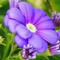 HPアクセスアップ (@hp_access_up) 's Twitter Profile