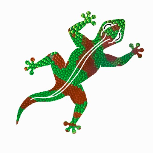 disco_gecko's profile picture. Find us elsewhere - discogecko without the _