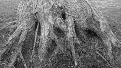 ohayoyamabiko's profile picture. 冬季散歩　夏季ロードバイク　読書　昼寝　温泉　日記　定住　晩酌　放屁　鼾　欠伸　方言　地霊　縄文　蝦夷