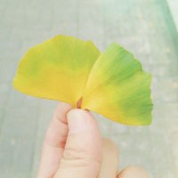 羅馬の城 (@juro0708) 's Twitter Profile Photo 羅馬の城 (@juro0708) 's Twitter Profile Photo