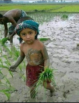 AtanuBe88621887's profile picture. 