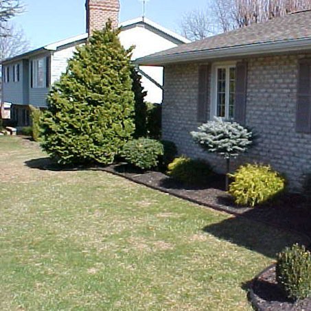 Landscaping, lawn care, aerating, new yards, fert., retaining walls, sidewalks, fall cleanup, bush, shrub and tree trimming, tanbark, driveways, new bedding.