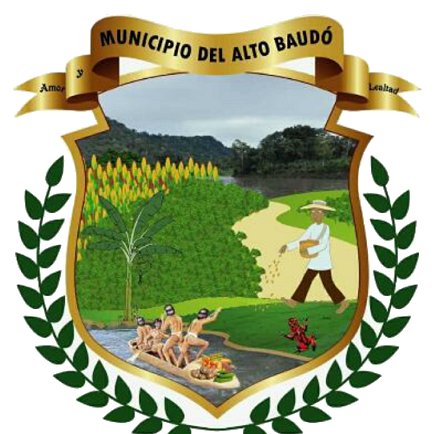 El municipio del Alto Baudó fue segregado del municipio del Baudó, que tenia por capital a Pizarro, por medio de la ordenanza N° 16 del 25 de noviembre de 1958.